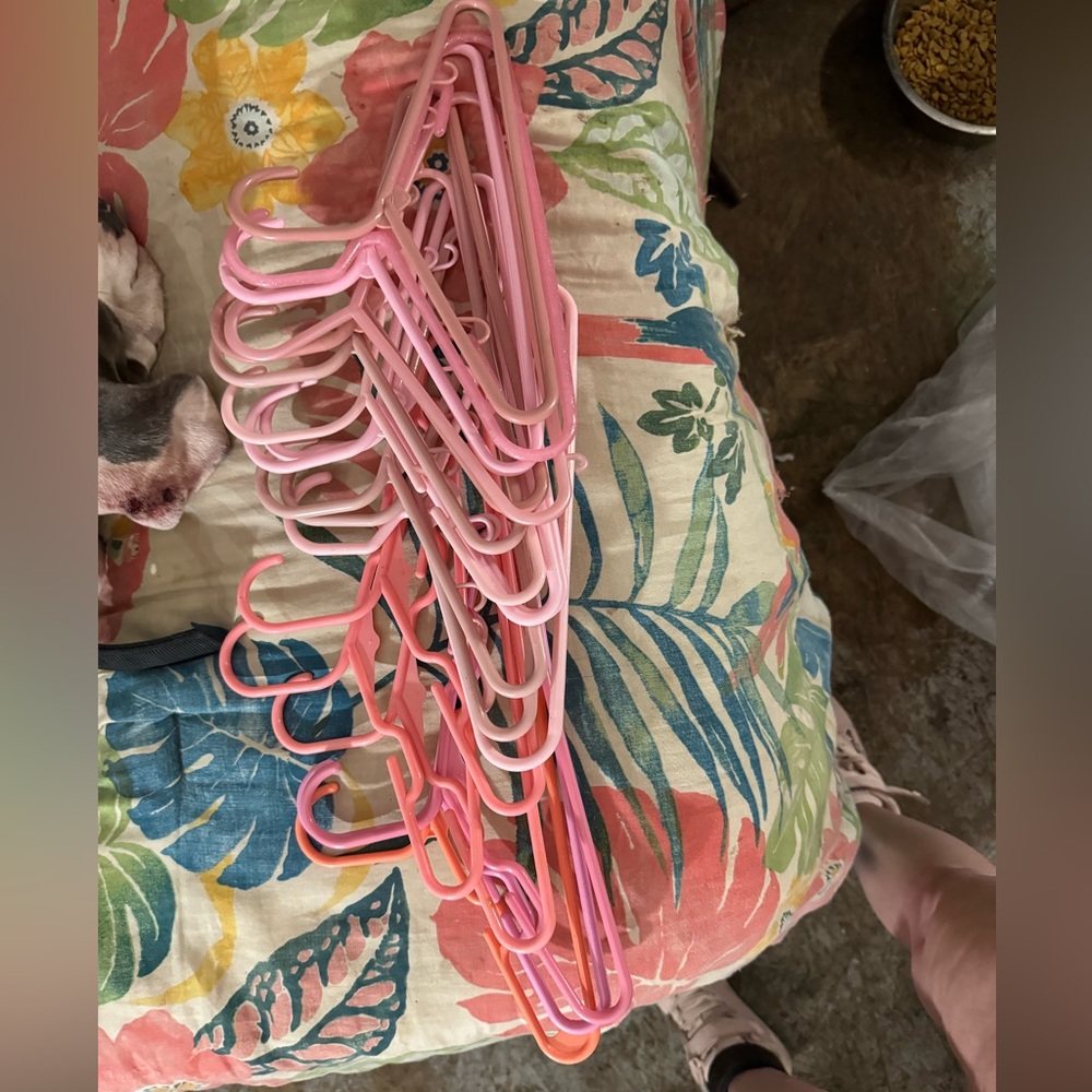 Light Pink Hangers (Set Of 18)